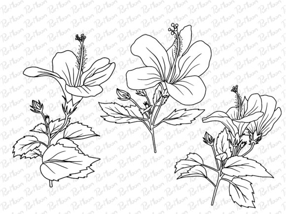 Download Line Art Flowers Arrangements - Arrangements Collection